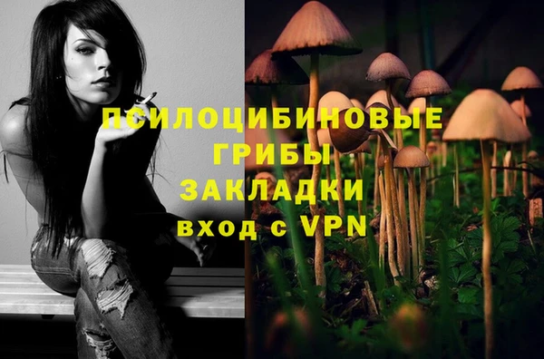 ALPHA PVP Аркадак