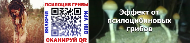 Псилоцибиновые грибы ЛСД  Бирюсинск 